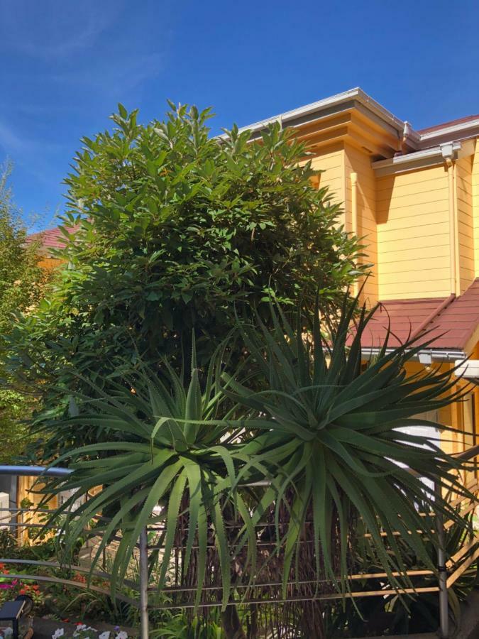 伊道荘園 Hotel Futo Exterior photo